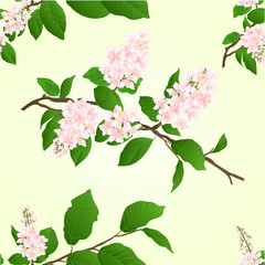 Obraz premium Seamless texture pink Lilac branch natural background vector illustration