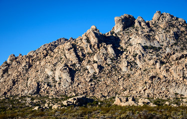 Mojave National Preserve
