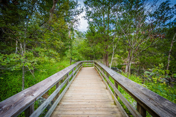 Boardwalk trail on Olmsted Island at Great Falls, Chesapeake & O