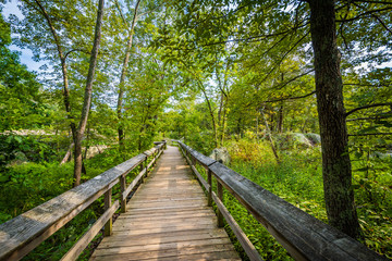 Boardwalk trail on Olmsted Island at Great Falls, Chesapeake & O