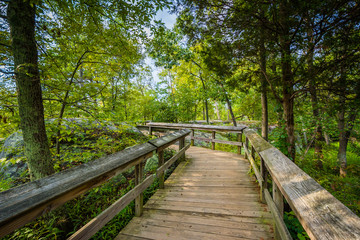 Boardwalk trail on Olmsted Island at Great Falls, Chesapeake & O