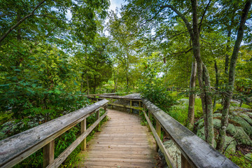 Fototapeta premium Boardwalk trail on Olmsted Island at Great Falls, Chesapeake & O