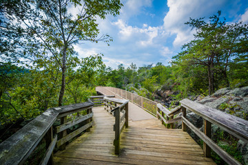 Obraz premium Boardwalk trail on Olmsted Island at Great Falls, Chesapeake & O