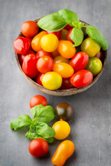 Tomatoes an gray background. Colorful tomatoes, red tomatoes, ye