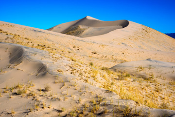 Obraz na płótnie Canvas Mojave National Preserve
