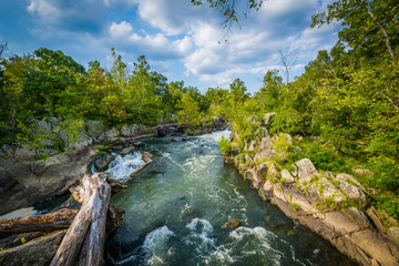 Fototapeta na wymiar Rapids in the Potomac River at Great Falls, seen from Olmsted Is
