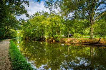 The C & O Canal, at Chesapeake & Ohio Canal National Historical