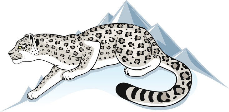 snow leopard on a background mountain peaks