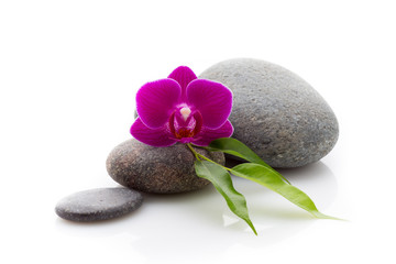 Spa stones
