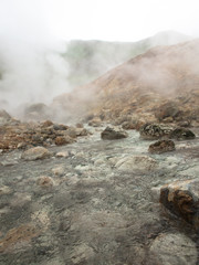 Hot stream flows in a smoking crater of the volcano Mutnovsky on Kamchatka in Russia against the background of a hill with trees and sky with clouds