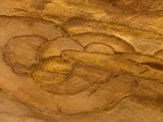 unusual pattern on sand colored walls of the canyon in Egypt