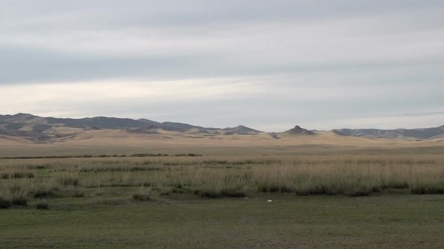 Landscape
