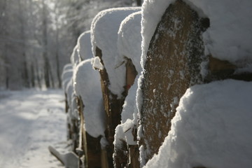 Holzstapel im Winter