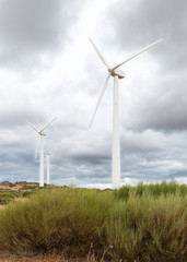 Fototapeta premium Molinos de Viento