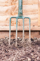 Green garden fork standing in freshly dug soil