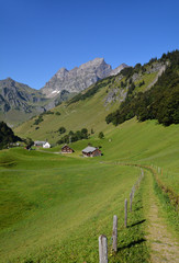 Fototapeta na wymiar Alp Waldnacht am Surenenpass, Kanton Uri