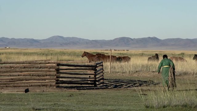Nomads