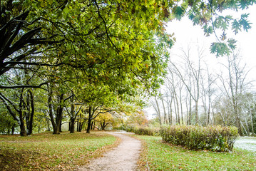 Осень в парке