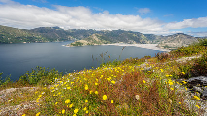 Fototapeta na wymiar Beautiful lake in the mountains. Wildflowers growing on the shore of the lake. Mount St Helens National Park, East Part, South Cascades in Washington State, USA