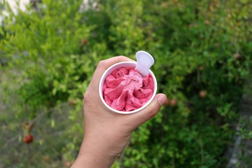 Hand holding a cup of ice cream outdoor. Ice cream is made of forest fruit and it is vegan and gluten free. 
