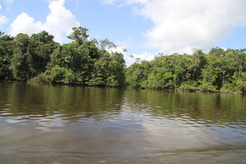 Guyane - Camp Cariacou - Ao&ucirc;t 2016