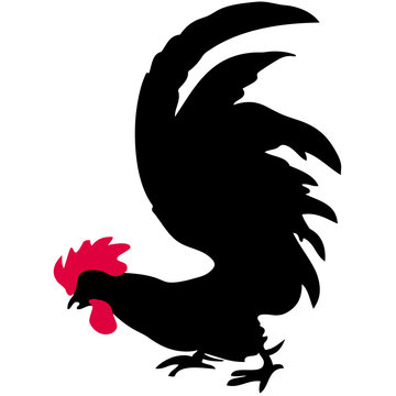 Silhouette of a rooster. Symbol of New Year 2017 