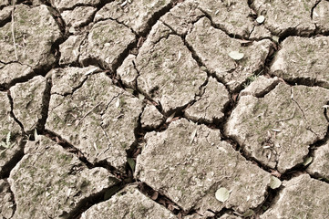 détail terre craquelée en surface