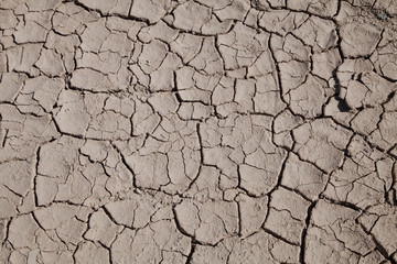 Land degradation, desertification in Egypt