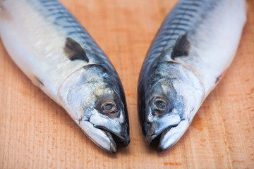 Two fresh, raw mackerel lie on a wooden, cutting board heads together.
