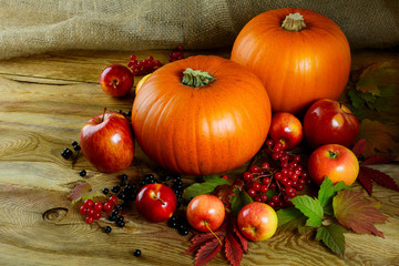 Harvest concept  with pumpkins, berries and apples