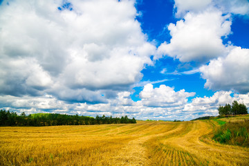 landscape in the background of the sky