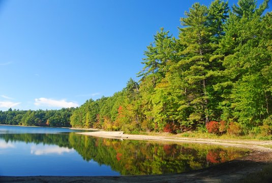 The Walden Pond Near Concord, MA.