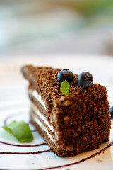 Coffee layer cake with blueberries and mint.