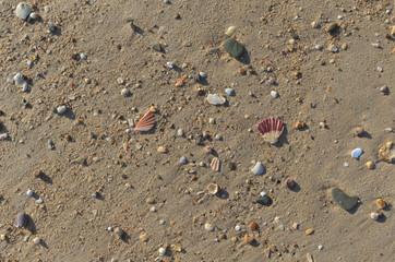 Beach sand surface texture. Natural backgrounds and textures