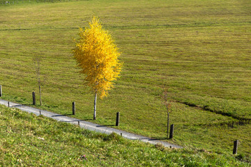 Amazing autumn Panorama near mount Rigi, Alps, Switzerland