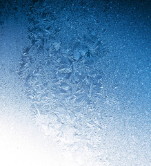 cold winter frost background