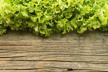 Fresh green lettuce salat on wooden background. 