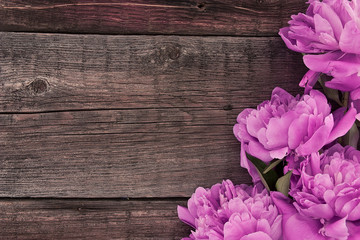 Pink peony flower on dark rustic wooden background © sunlike