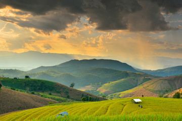 Cornfield sunset of Thailand.