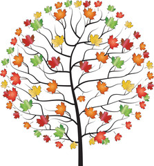 Autumn maple tree - vector