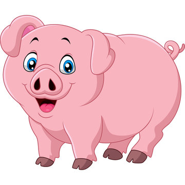 Cartoon pig isolated on white background