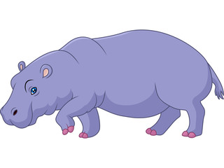 Cartoon hippo isolated on white background