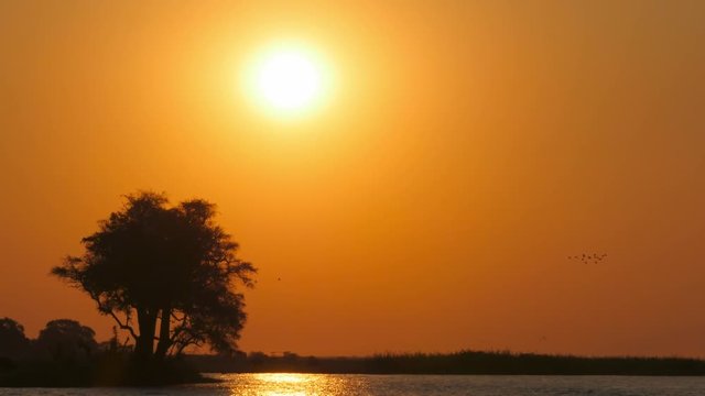 colorful sunset on the okawango river with birds flying across the frame big sun background backlit 