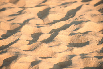 Blurred background image of sea sand and sun, Blurred picture with partly visible texture of small stones and sand seashore lit by light rays of the evening sun, Beach, seashore, Light warm tone