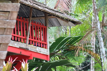 Guyane - Camp Cariacou - Août 2016
