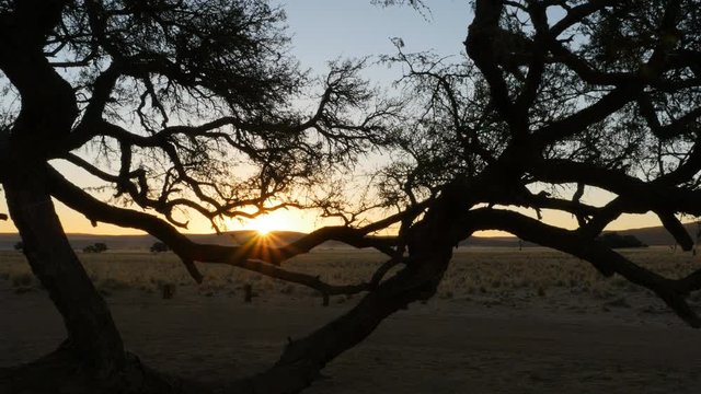 sun setting over horizon in the desert behind a tree silhouette sun rays time lapse with sand blowing in the distance