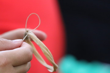 Guyane - Camp Cariacou Août 2016