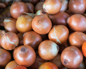 Fresh onion in the markets