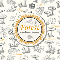 Vector background with forest plants and mushrooms