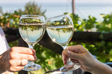 toasting with white wine in a wineyard